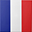 french flag icon