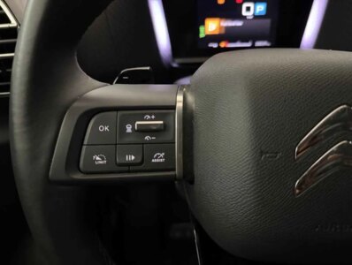 CITROEN C4 X 1.5 HDI 130CV EAT8 MAX -  93553